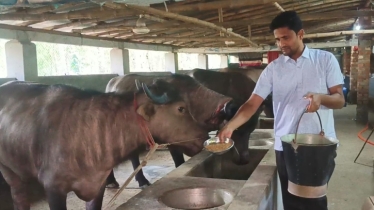 ধারের আড়াই লাখে শুরু, এখন ৭০ লাখ টাকার সফল উদ্যোক্তা